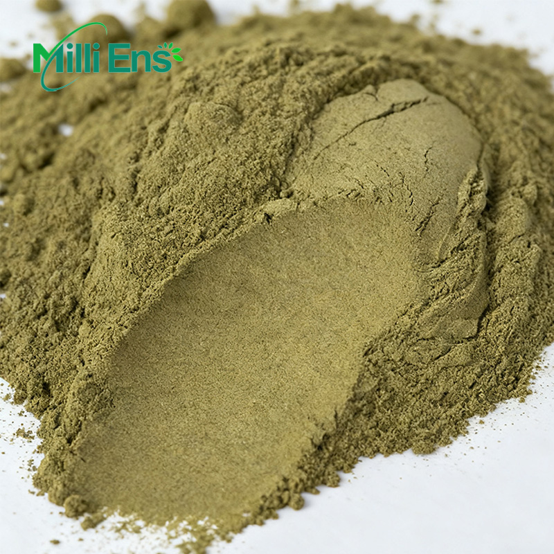Premium Hojicha Powder, Low-Temperature Slow Roasting, Rich & Mellow